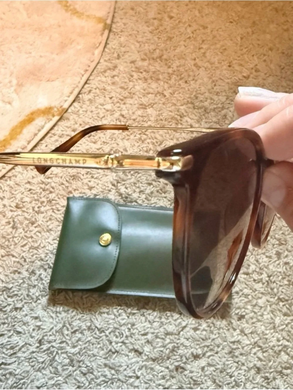 Longchamp stylish men